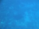 DSC00548.JPG