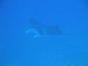 DSC00553.JPG