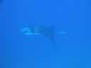DSC00555.JPG
