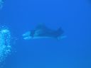 DSC00556.JPG