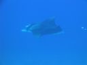 DSC00557.JPG