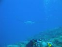 DSC00560.JPG