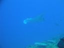 DSC00562.JPG