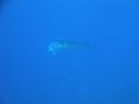 DSC00563.JPG