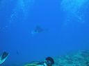 DSC00564.JPG
