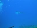 DSC00565.JPG