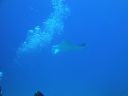 DSC00566.JPG
