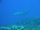 DSC00570.JPG