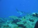 DSC00571.JPG
