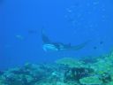 DSC00572.JPG