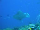 DSC00574.JPG