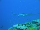 DSC00576.JPG