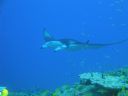 DSC00577.JPG
