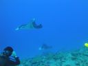 DSC00579.JPG