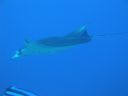 DSC00580.JPG