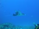 DSC00582.JPG
