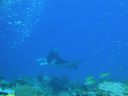 DSC00584.JPG