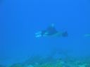 DSC00585.JPG