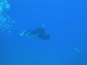 DSC00586.JPG