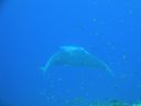 DSC00588.JPG