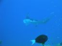 DSC00590.JPG