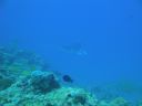 DSC00593.JPG