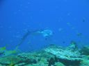 DSC00595.JPG