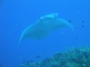 DSC00597.JPG