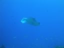 DSC00599.JPG