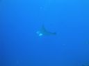 DSC00600.JPG
