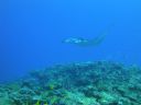 DSC00603.JPG