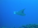 DSC00604.JPG