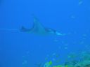 DSC00608.JPG