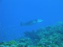 DSC00609.JPG
