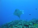 DSC00611.JPG