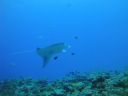 DSC00612.JPG