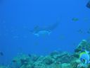 DSC00616.JPG