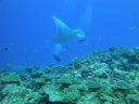 DSC00618.JPG