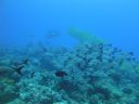 DSC00623.JPG