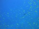 DSC00626.JPG