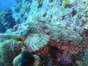 DSC00642.JPG