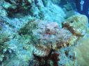 DSC00643.JPG