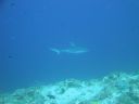 DSC00656.JPG