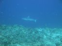 DSC00658.JPG