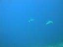 DSC00662.JPG