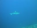 DSC00667.JPG