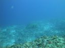 DSC00668.JPG