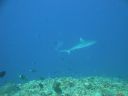 DSC00669.JPG