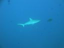 DSC00672.JPG