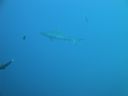 DSC00673.JPG